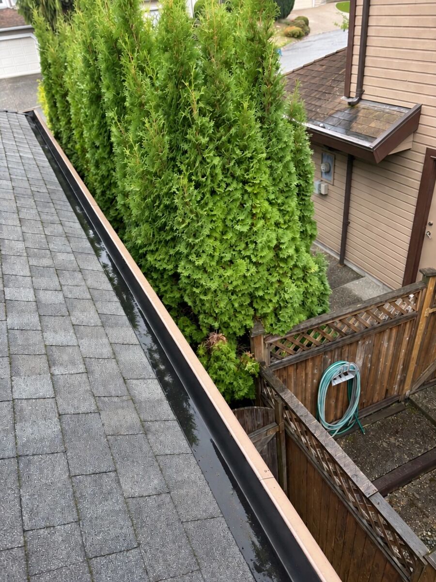 Gutter cleaning after, by Fox Window Cleaning