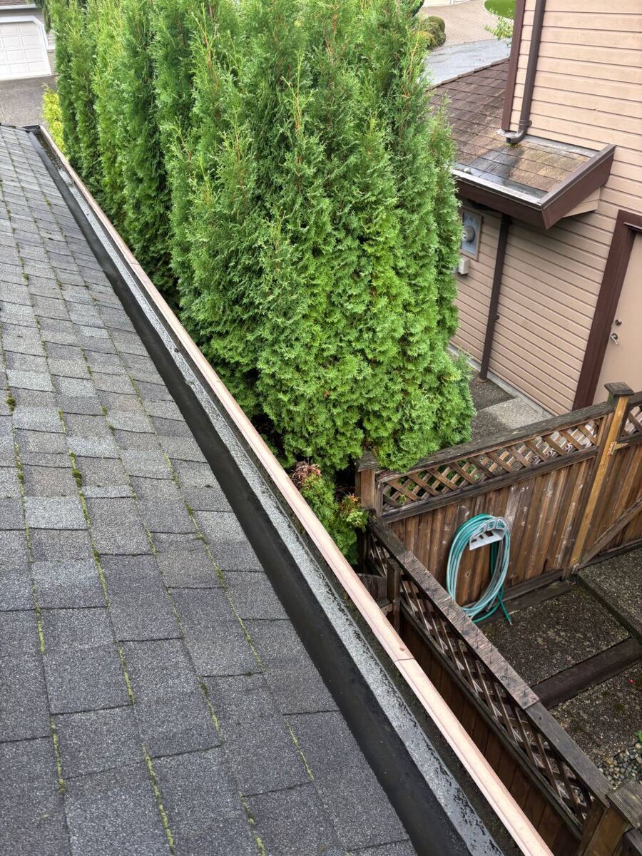 Gutter cleaning before, by Fox Window Cleaning